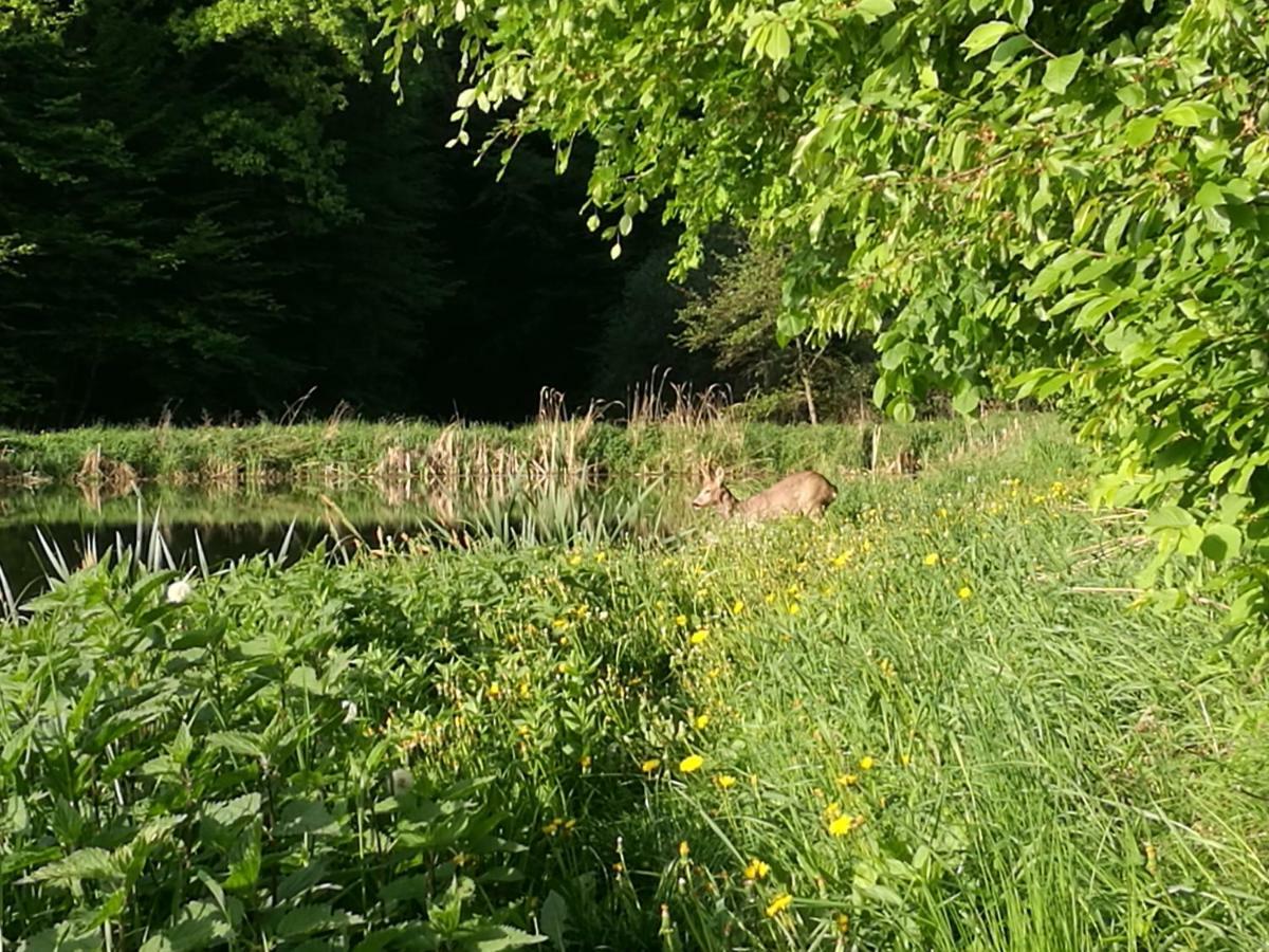 Agroturystyka U Krystyny Rybczewice Esterno foto