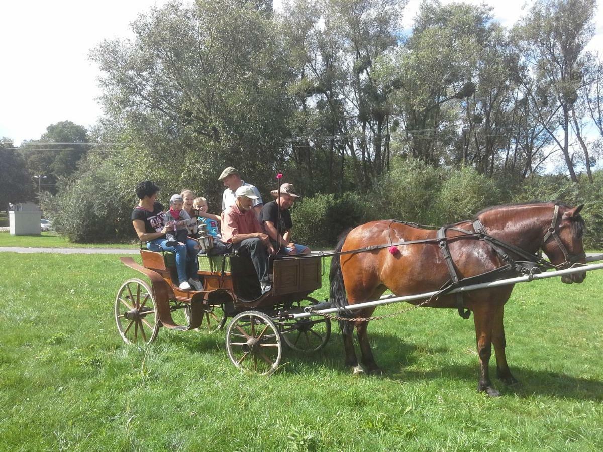 Agroturystyka U Krystyny Rybczewice Esterno foto